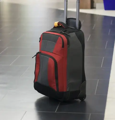 Luggage