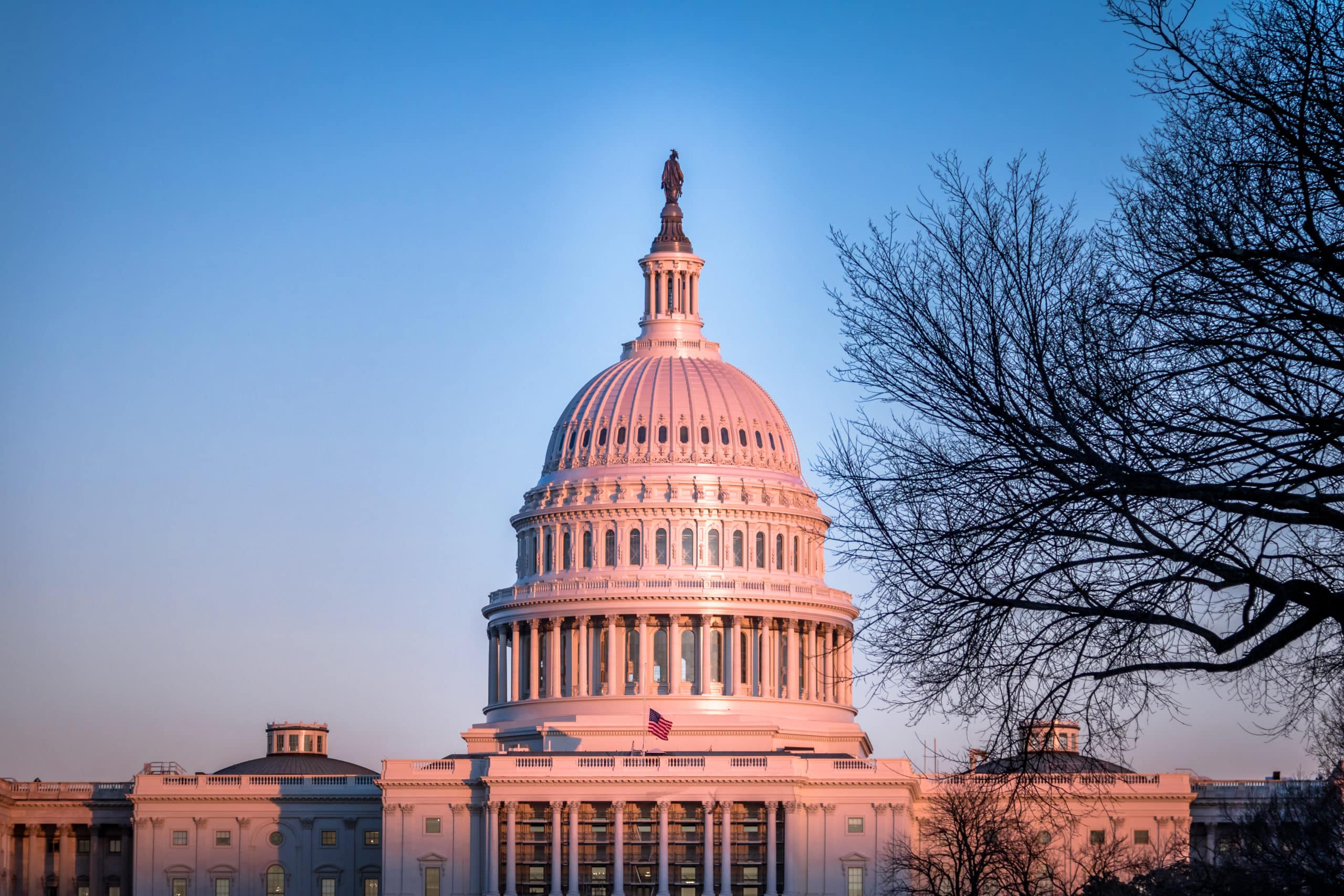 Dome of United States Capitol Building - Washington, DC, USA