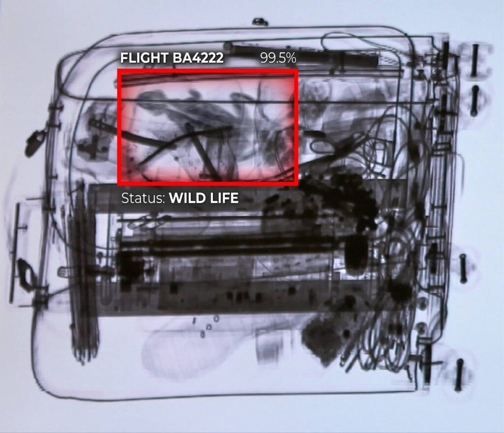 Deep learning and computer vision used in airports to improve security and safety