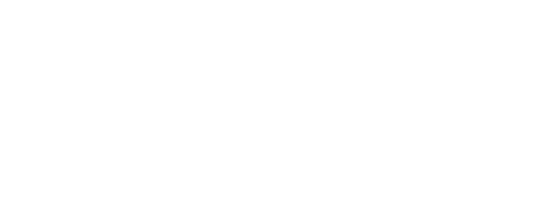 264X100_Mercedes_HO