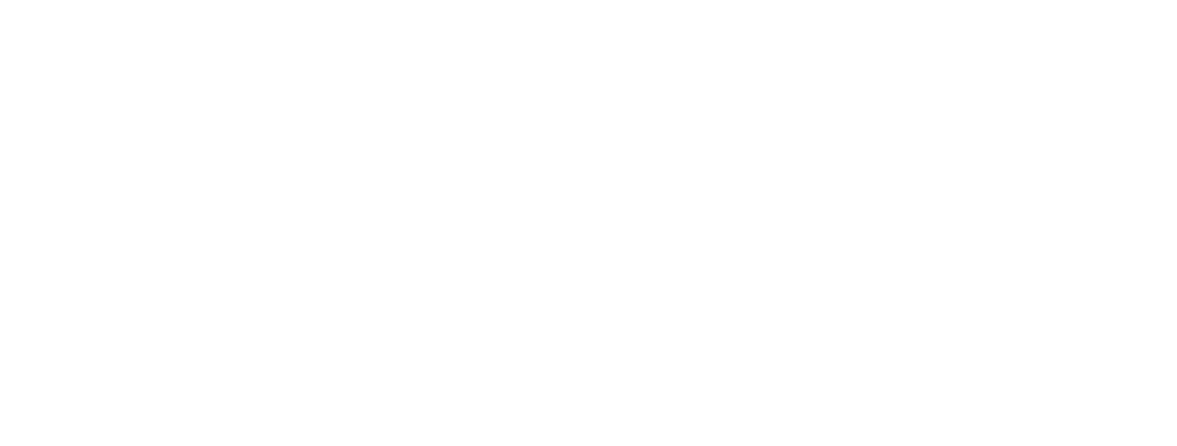 264X100_NSC_HO
