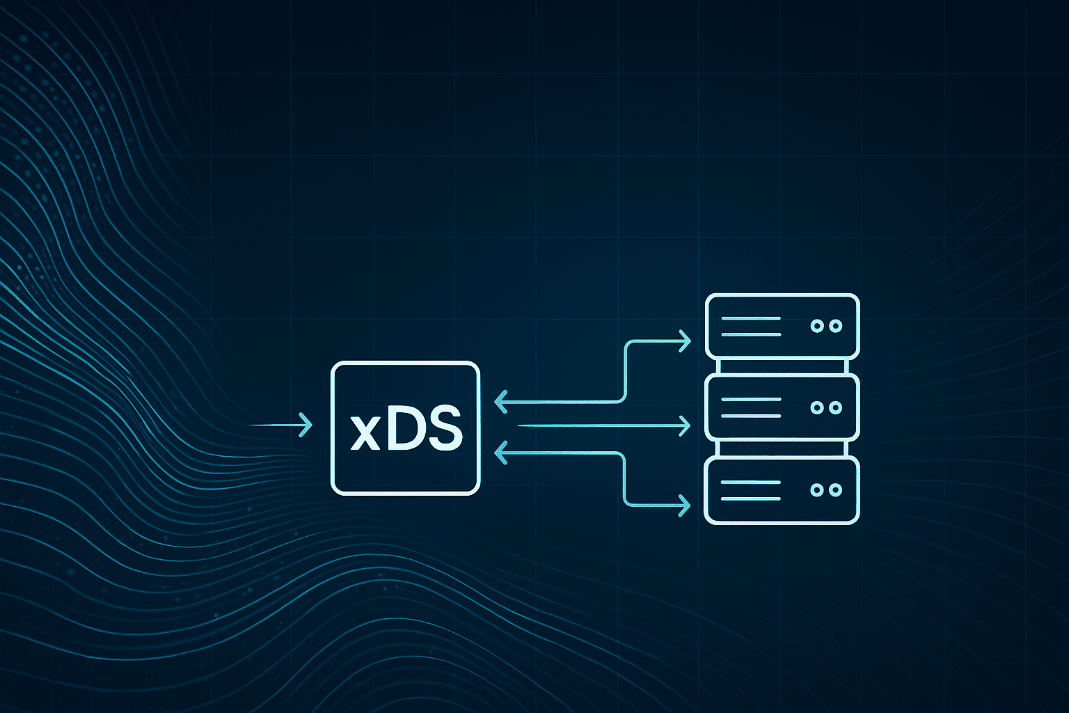 xDS xDS